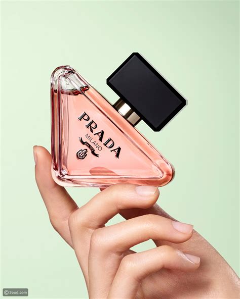 prada paradoxe costo|parfum prada paradoxe donna.